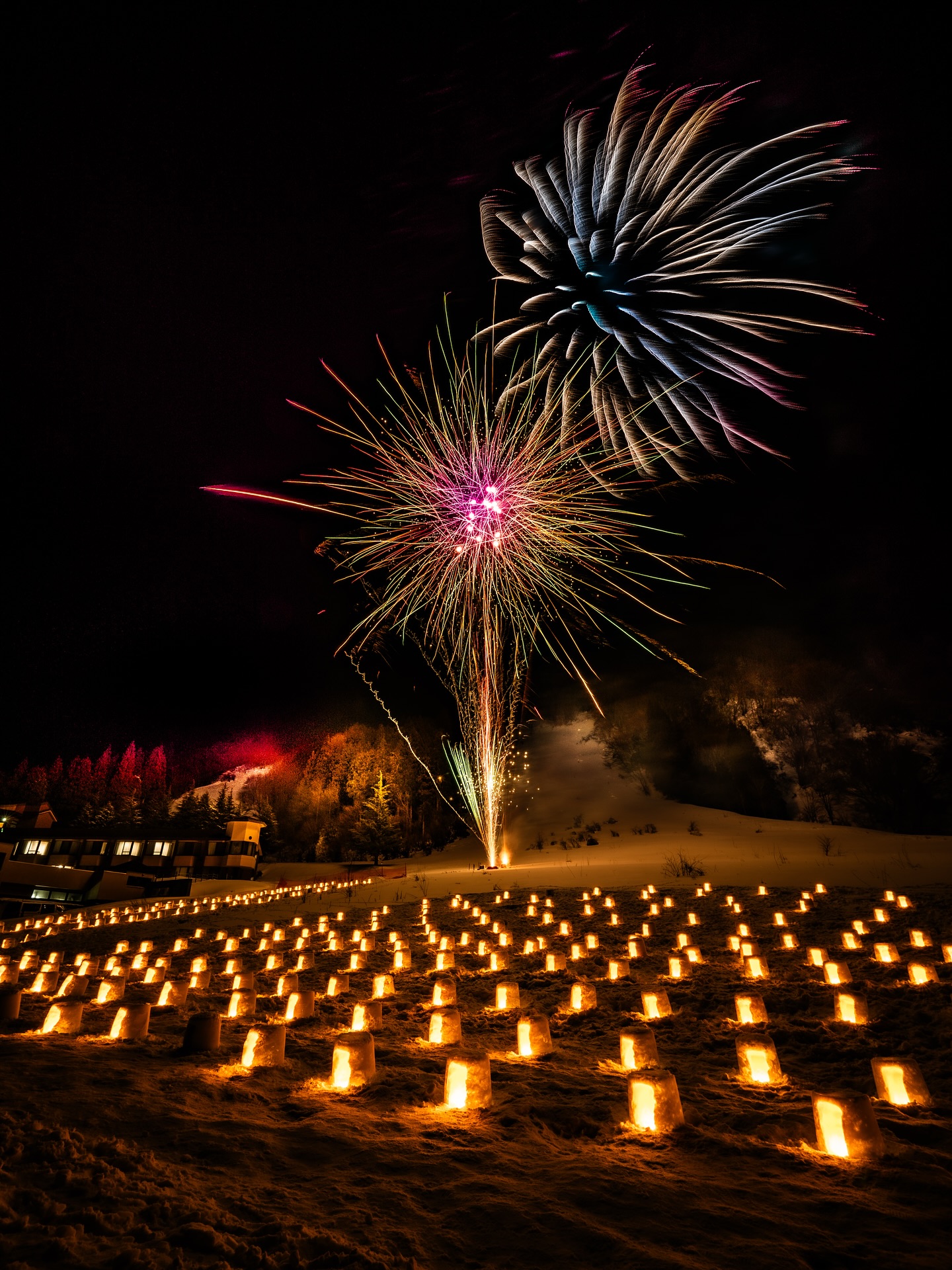 かだる雪まつり 会場